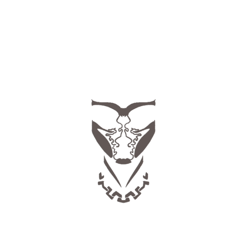 inscription effcc8410acac10159d5d5de68aa6bfd7fc0082d3f879111442063e48815d7c1i6