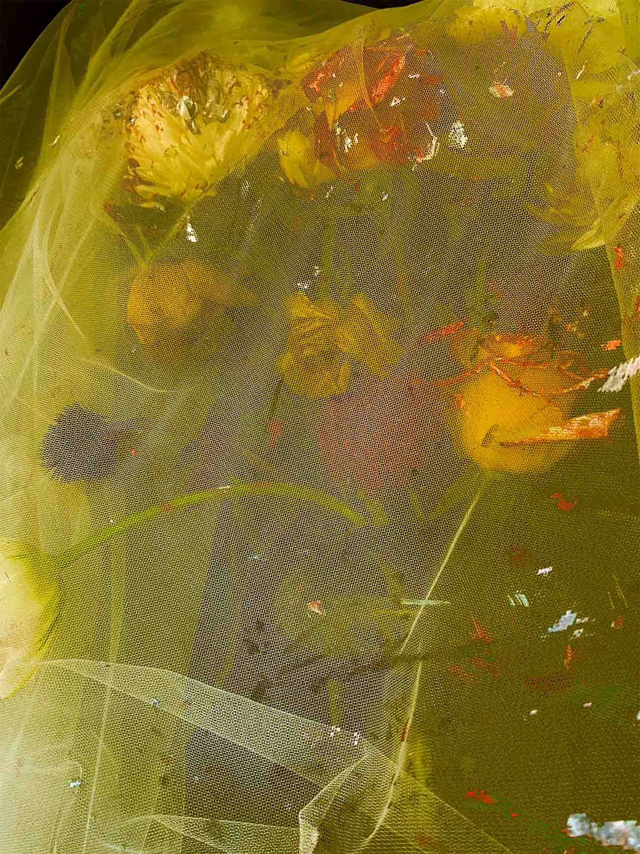 inscription f0576edeca30fff65c276f4a0f3ff76d3e0f5e03ae965af4b9f11015efb6bd28i0