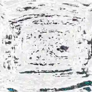 inscription f495b4e9a8f7e7292e5c2f4d03f67415c190e9fecd1268e38f0540d120a28f0di0