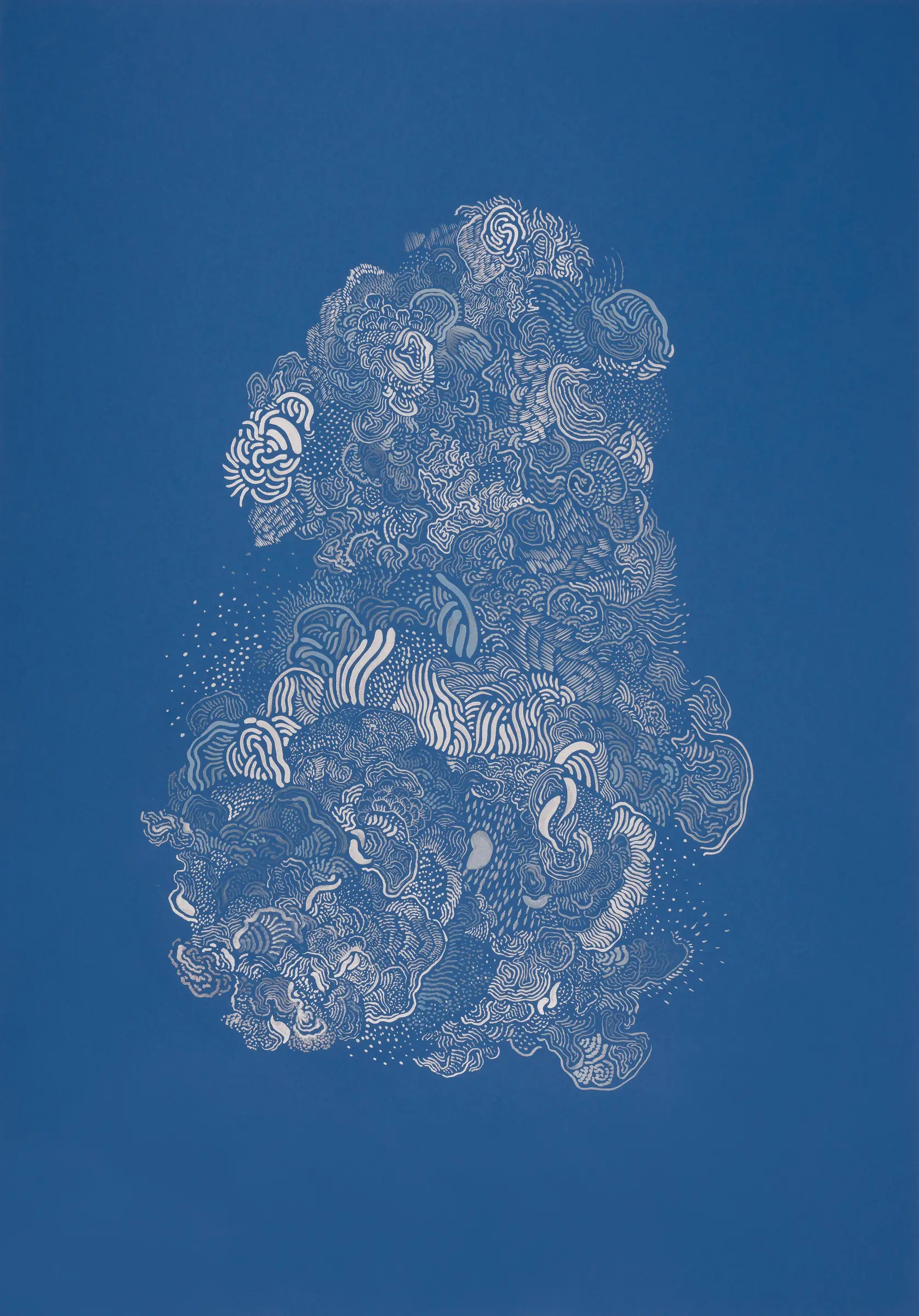 inscription f5a8b0eb4b9c2d0ff5fdf5c070ac4eb69bc2ae840165a586b6472cc02424c88fi1