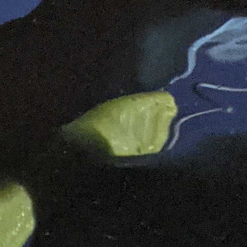 inscription f5bbfe2a9b3d7d67a3c5c0a34a207cd224b5e8811122eff65d24cae98bdbab91i0