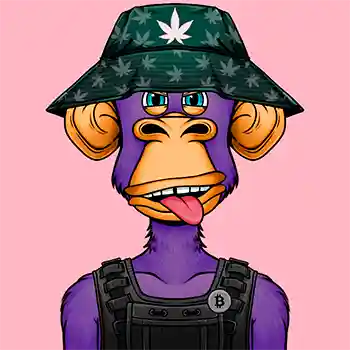 inscription f6e6cf96232759c493dc572f4c0b873f9369d0d699ab0c2d5d387577e6803b13i0