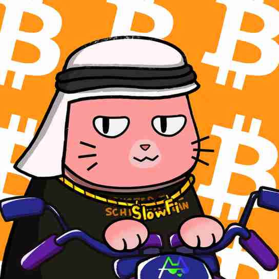 inscription f983142895b1178b28684844f2e401f7a4f272acc75b0714fe97de343c8f5db1i2