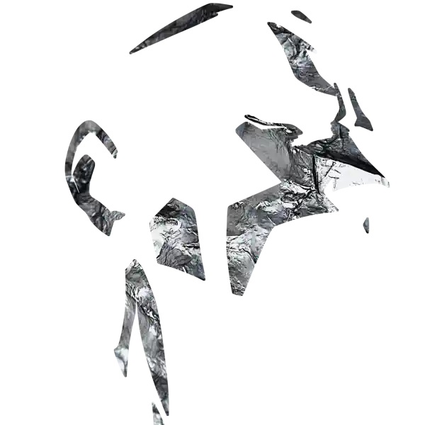 inscription fc1229051262371b644ff43674eb1279e7394d281dbe4d2f650f9e85a80bf076i0