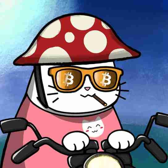 inscription fd0402e7b687d2666aafe2e5716374593e56f9909bfd1b5ce75eed890445b6f5i6